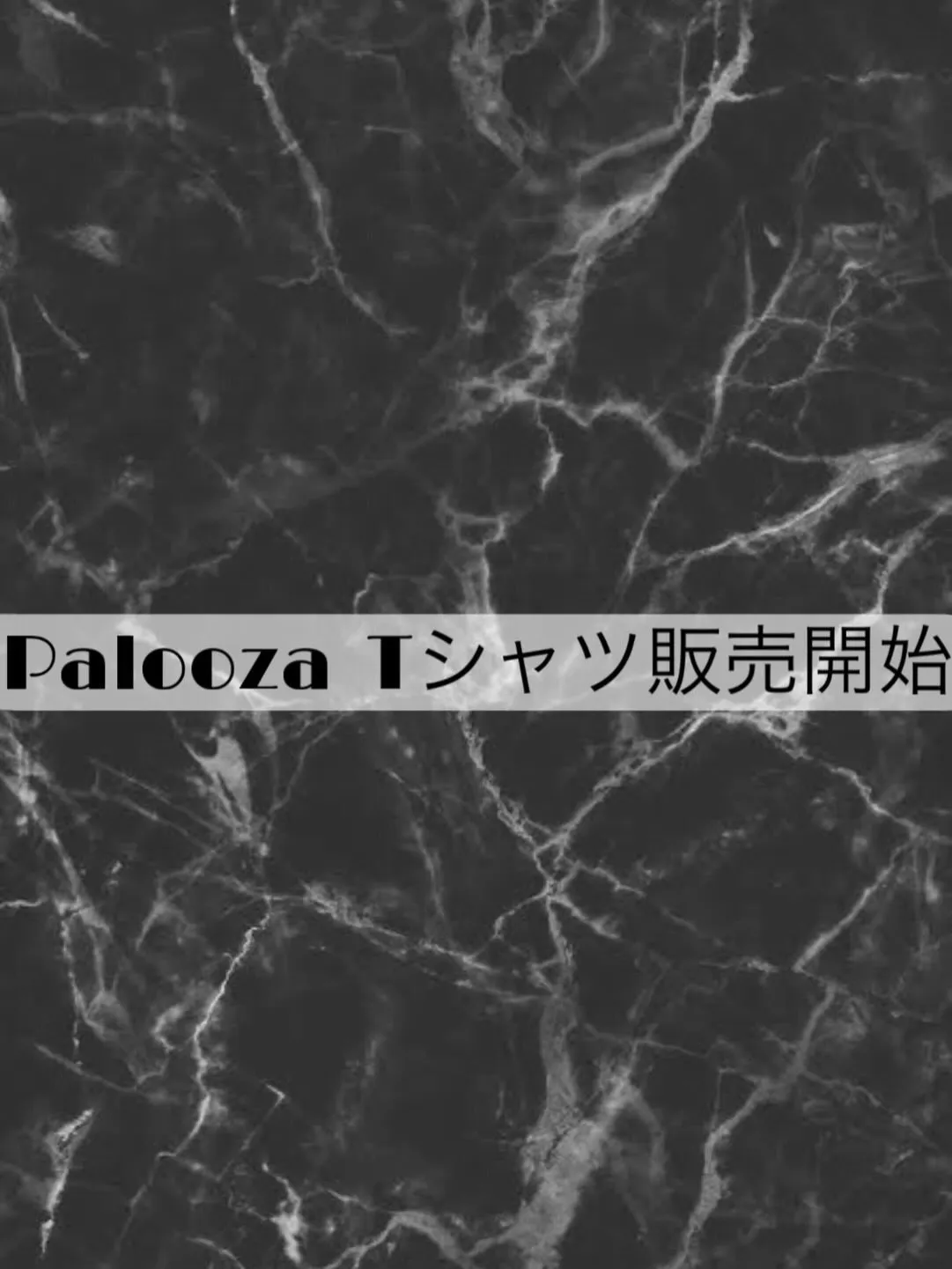 【PaloozaTシャツについて✨】