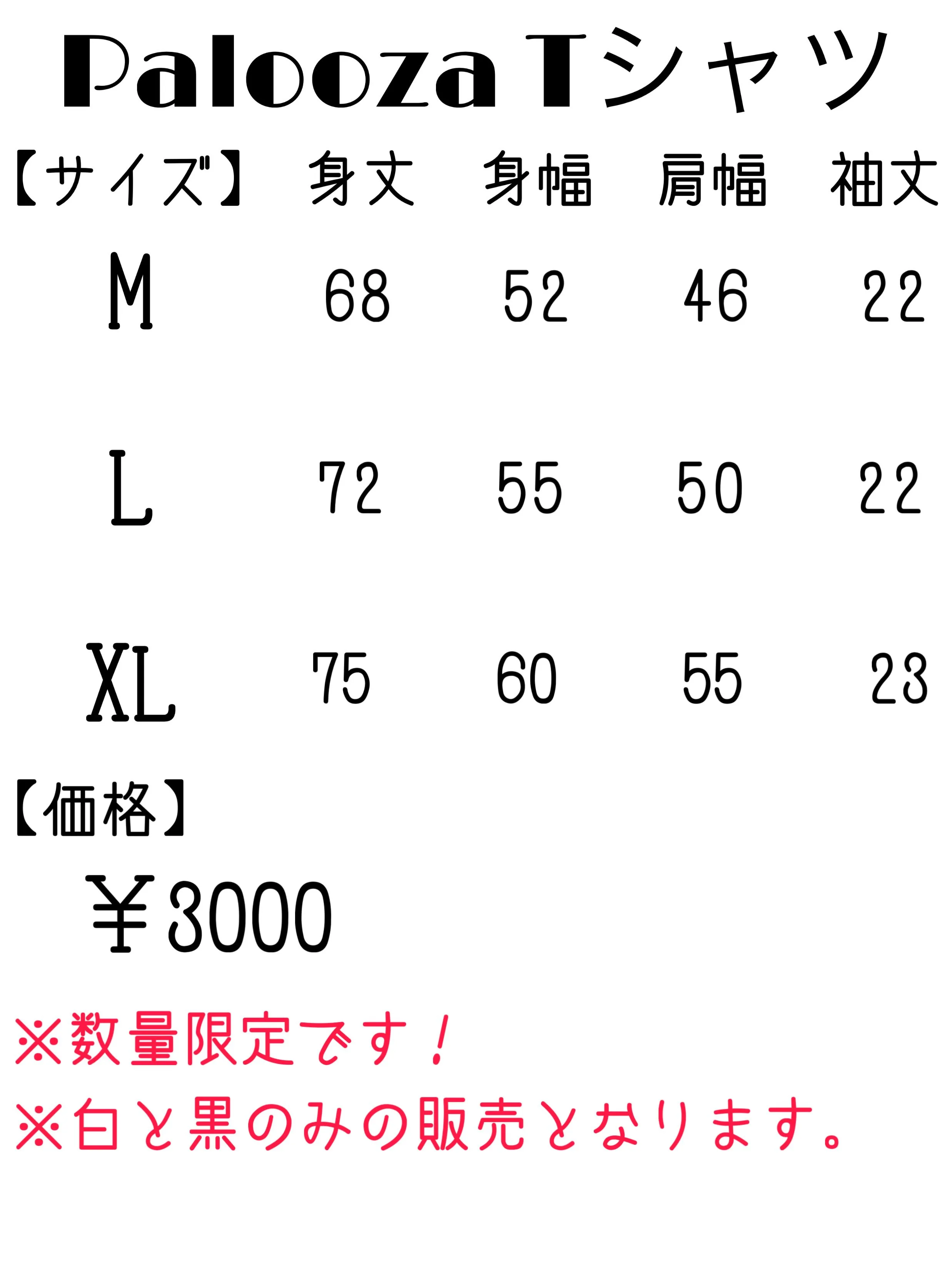 【PaloozaTシャツについて✨】